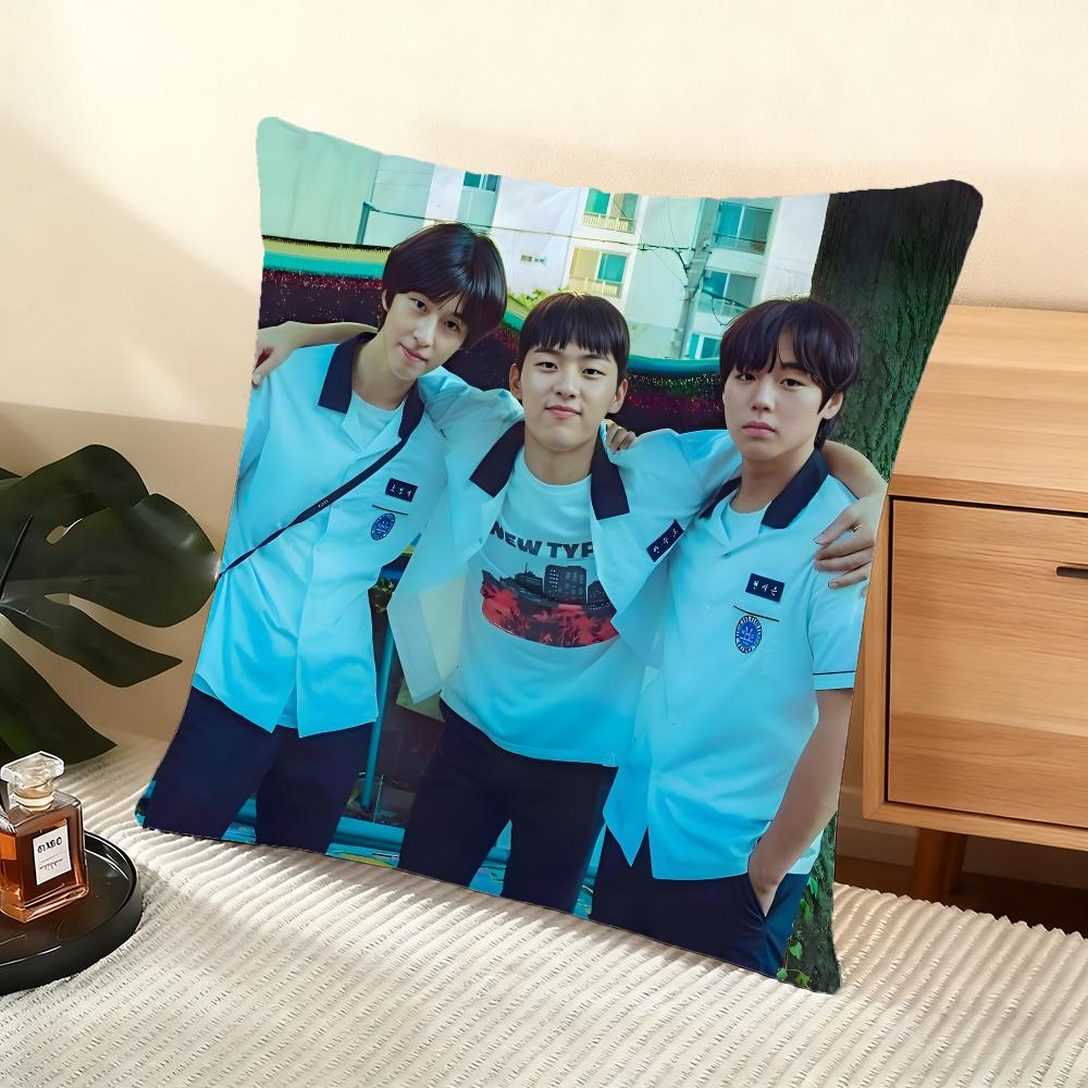 Cushion Cover Silky Short Plush Home Sofa Cushion Cover - Invisible Zipper Home Decoration WeakHero TV Series