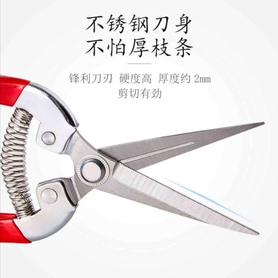 Gardening Shears