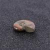 Luck Mascot Madagascar Stone Collectibles Iridescent Specimen Natural Ammonite