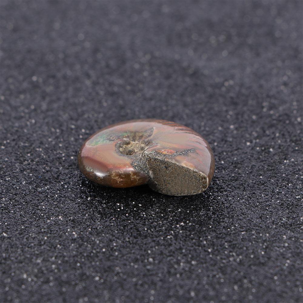 Luck Mascot Madagascar Stone Collectibles Iridescent Specimen Natural Ammonite