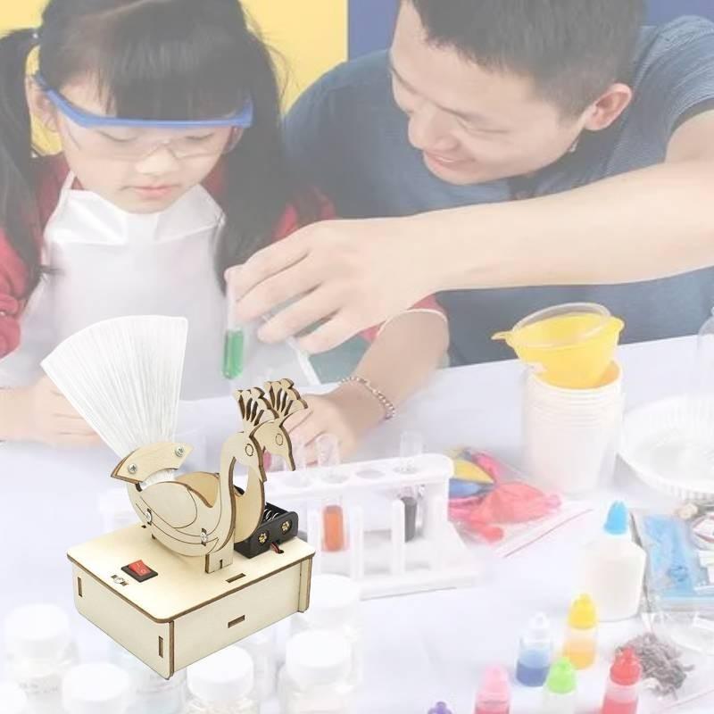 Peacock Opening Diy Science Experiment Wooden Material Customizable Handmade Toy