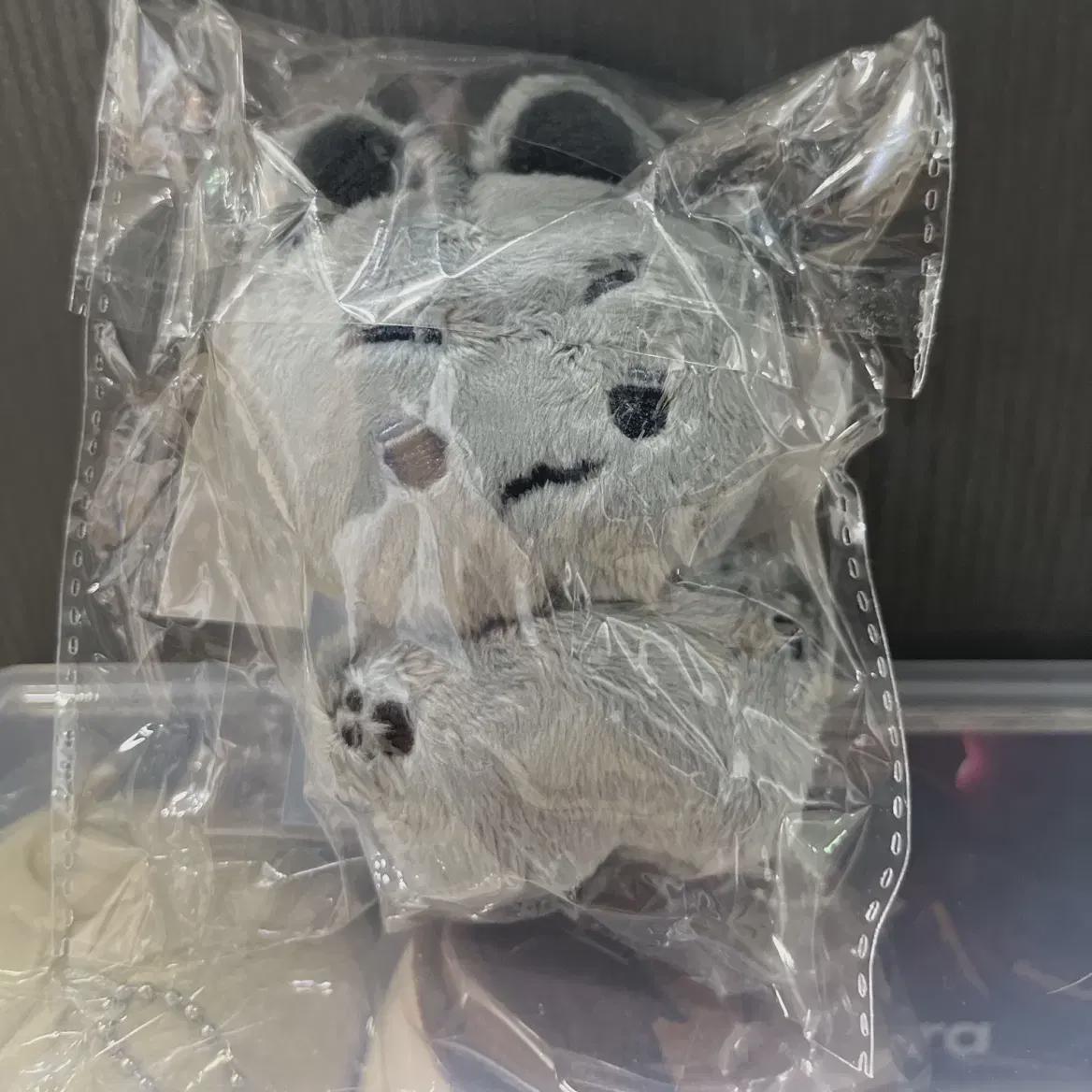 

Слэм Данк Буксан Животные Манданг Чонгдван Кукла Сестра