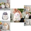 Adorable Hamster Plush Keychain Cute Cartoon Doll Soft Toy For Gift Giving