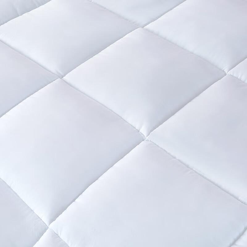 Royal Bedroom Down Alternative Microfiber Quilt