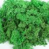 20/40/100g Artificial Green Plants Eternal Life Moss Grass DIY Crafts for Home Garden Room Decoration Mini Landscape Fake Flower