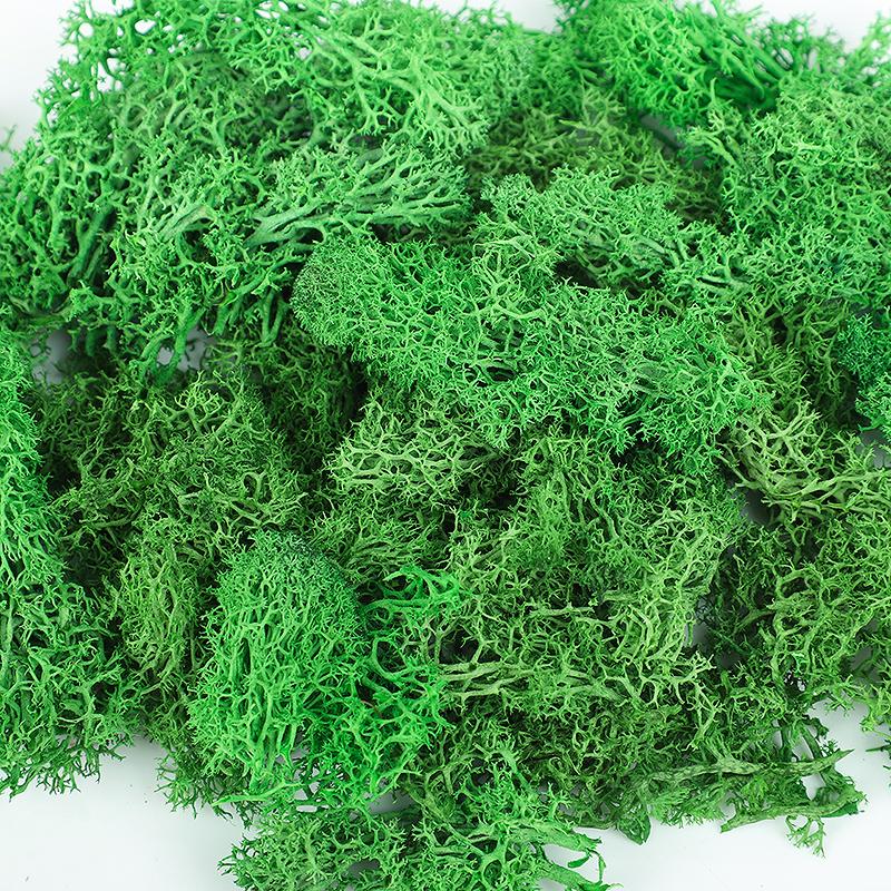20/40/100g Artificial Green Plants Eternal Life Moss Grass DIY Crafts for Home Garden Room Decoration Mini Landscape Fake Flower
