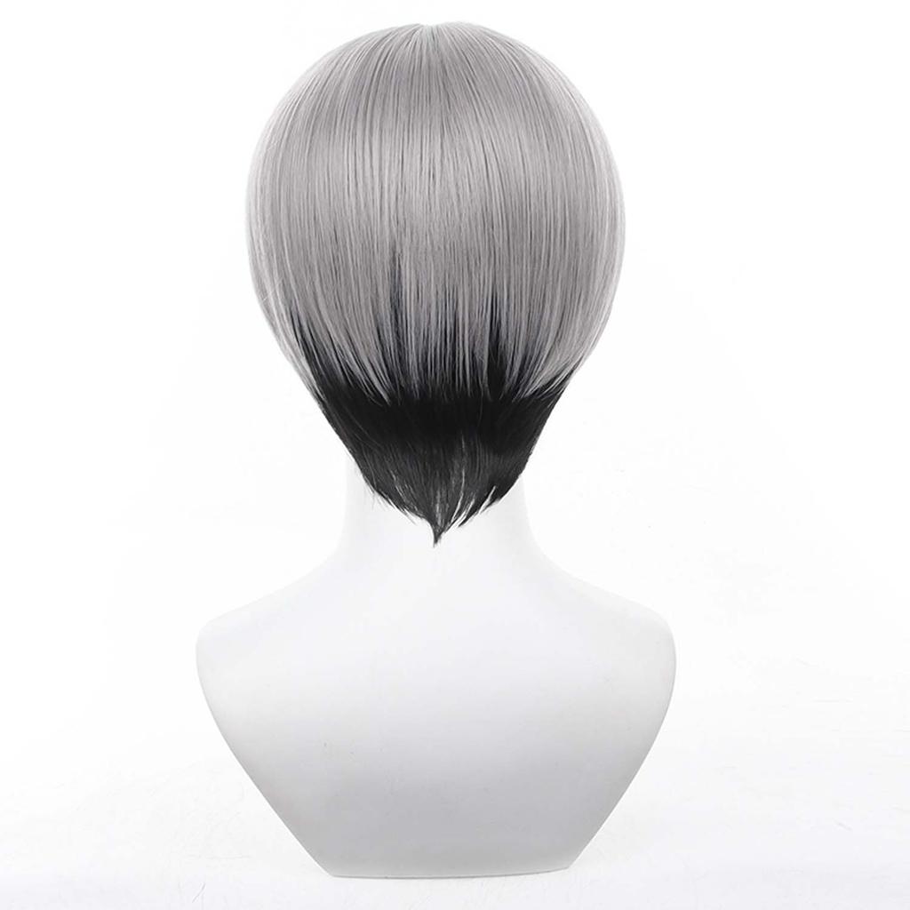 Short Anime Character Cosplay Perfect for Comic Market Cultural School and Other Includes Wig Gray/Black Wig, Accessory, Heat-Resistant Wig, Events,