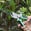 Gardening Scissors for Cutting Tree Branches, Specialized Scissors for Pruning, Garden Fruit Tree Pruning, Flower Pruning, Household Scissors