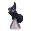 Nemesis Now Black Cat And Spellbook Collectable Figurine