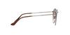 Sunglasses 0RB3447N ROUND METAL CLEAR GRADIENT BROWN 50 Ray-Ban 004/51