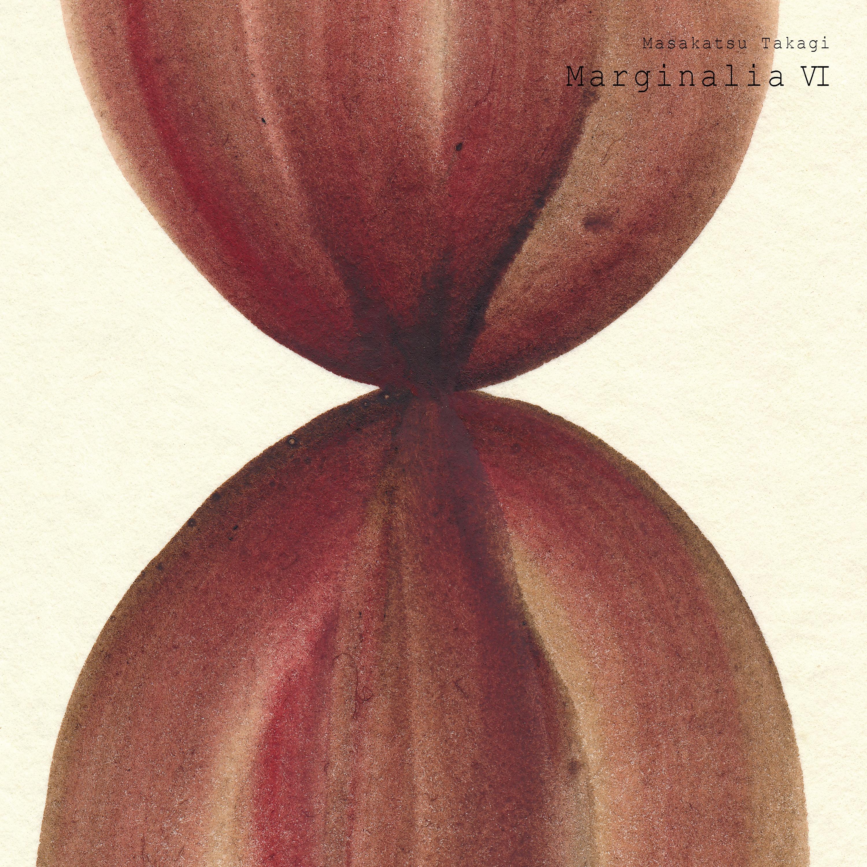 

LP Record MASAKATSU TAKAGI Marginalia VI SIJP1150 SONY MUSIC 2024 Japan Japanese Club Dance