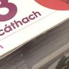 [USED] Nendoroid 743 Lancer/Scáthach Fate FGO