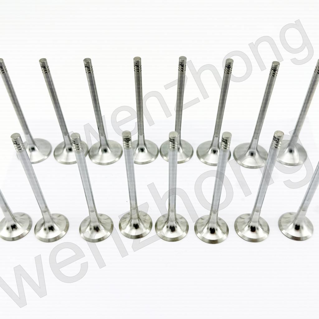 EA888-Gen3 2.0T Engine Intake Valves & Exhaust Stem Seals for A3 A4 A5 Q5 Golf Jetta Beetle Passat CC 06D109611H 06D109601M