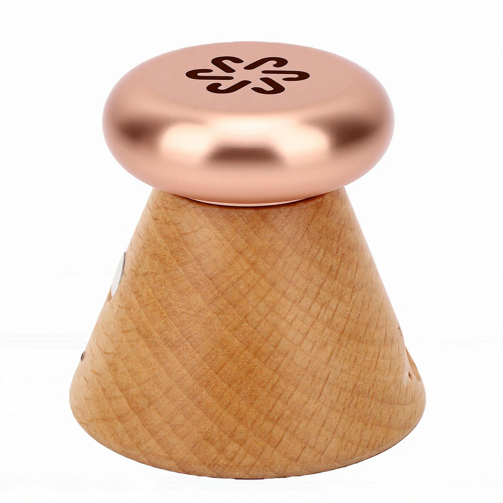 Electric Scent Diffuser Temperature Control Rechargeable Lightweight Essential Oil Diffuser