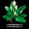 LEGO Botanical Peace Lily Toy Decorative Plant Block for Home Interior Gift for Men and Women 11504