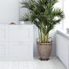 8Pcs Plant Stand Indoor Outdoor, Plant Level Pot Elevator- 2 Size Plant Riser Holder Plastic Floor Protector Plant Trivet, Heavy Planter Holder for