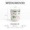 Wild Strawberry Insulated Travel Mug