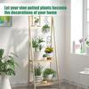 2x Black Small Metal Trellis For Pots Sturdy Support For Indoor Climbing Plants Indoor Plant Support