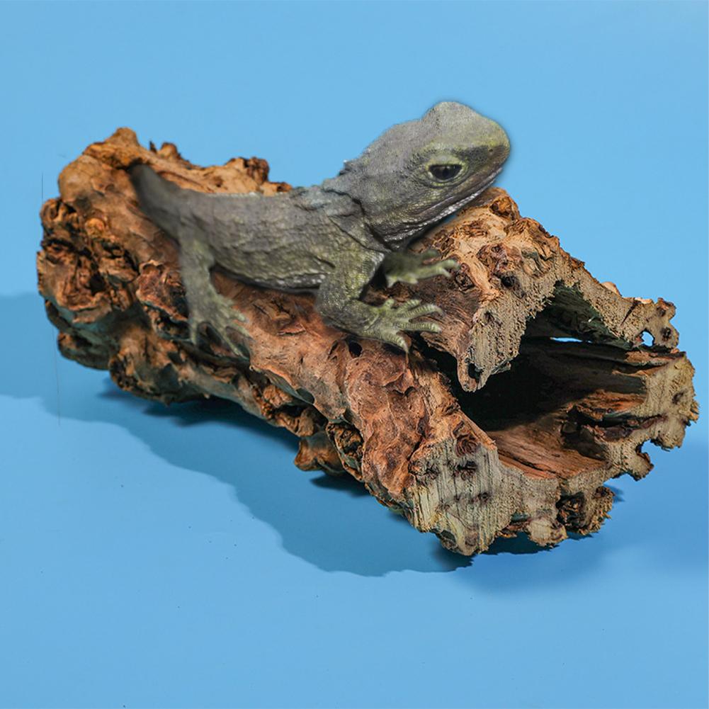 Holzaquarium Hohler Baumstamm Dekor, Naturholz Fischhaus Höhle Rindenornament, Fischtank Dekor Versteck Unterschlupf für Eidechsen