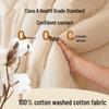 Premium Cotton Quilt: Class A, Single/Double, All-Season, Extra Thick for Winter Warmth