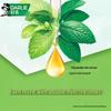Darlie Double Mint Multi-Care Toothpaste