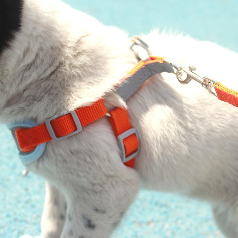 Pet Harness Vest and Leash Set for Small and Medium Dogs