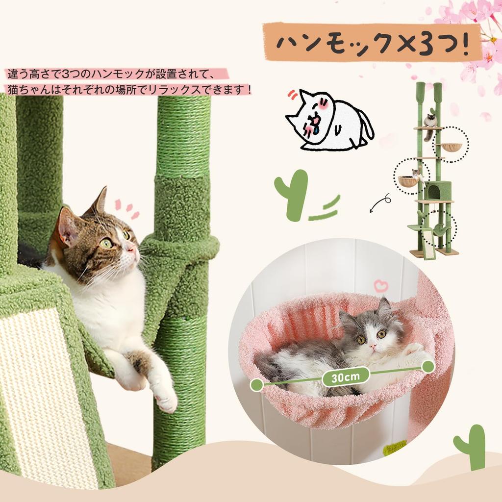 PETEPELA Pazur Kota Pazur Przestrzeń Uwolnij Brak Słodkiego Regulacja Wysokości Szerokość Wieża, Napięcie, Smukły, Wielogłowy Zwierzak, Kwiat, Napięcie, Hamak, Ostrzałka,