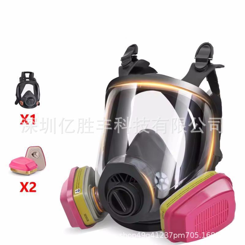Maschera Respiratoria Integrale con Filtro 60923 per Vernici, Prodotti Chimici, Pesticidi e Polvere.