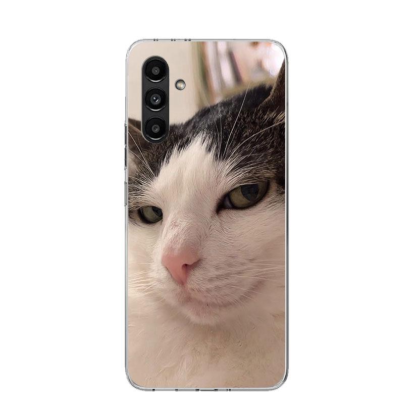Pet Cat Funny Memes Phone Case For Samsung Galaxy A16 A14 A15 A13 A56 A54 A55 A53 A26 A24 A25 A23 A36 A34 A35 A33 A05S A04S A03S