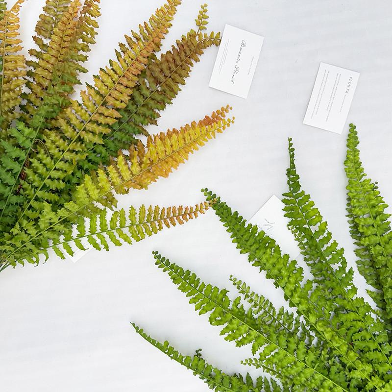 Artificial Green Plant Foliage For Wedding Decor And Photography Backdrops