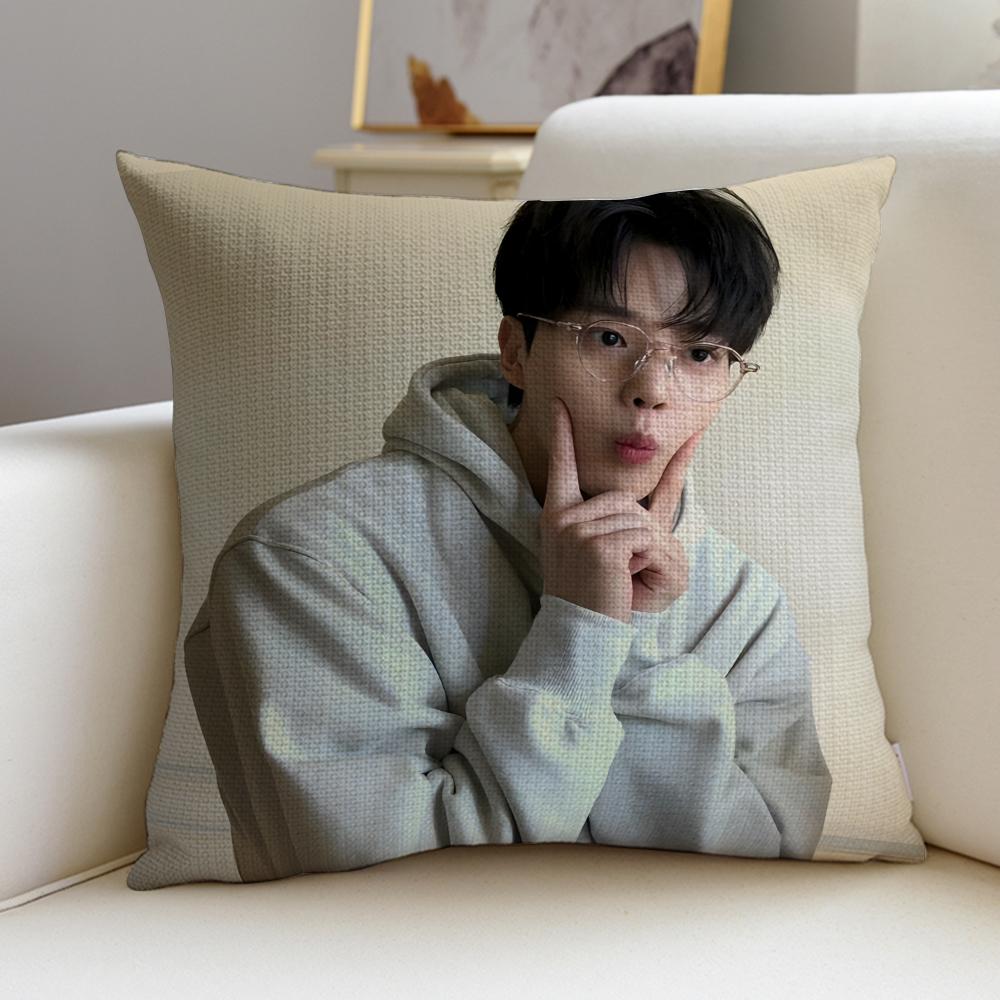 KKorean actor Song KangS Cushion Cover Breathable and skinfriendly linen pillowcase square removable and washable cushion