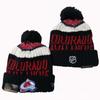 Winter Fall Rugby Knit Hat Warm Beanie Men Women