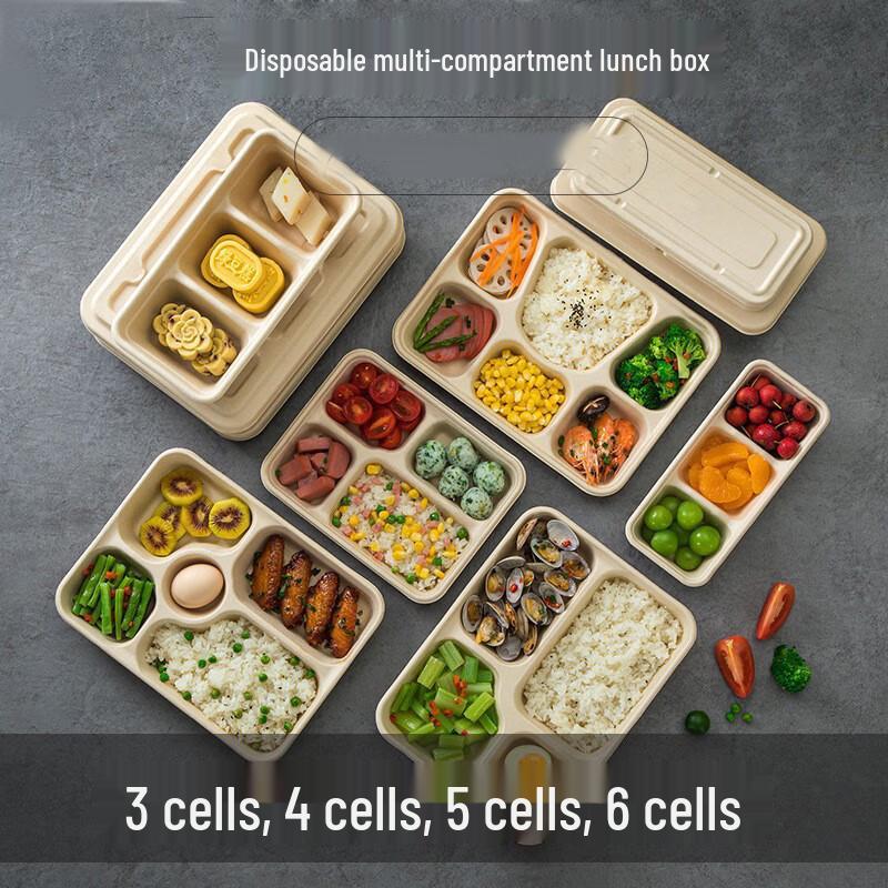 COFLYEE 6-Compartment Pulp Lunch Boxes