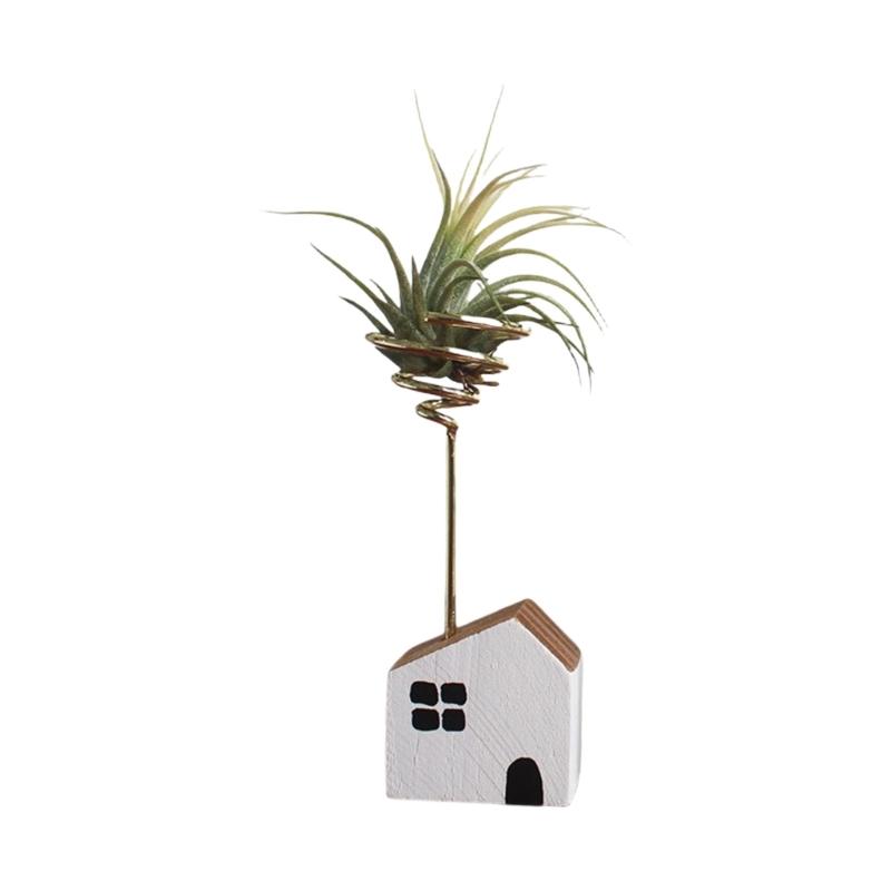 

Handcrafted Pine Air Plant Shelf Decorative Statue For Indoor Plant Home Office Decoration Gift Present