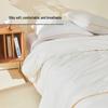 Mercury Cloud Graceful Antibacterial Tussah Silk 2-in-1 Quilt