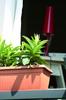 Terra DTT600 Balcony Flowerpot | Anthracite