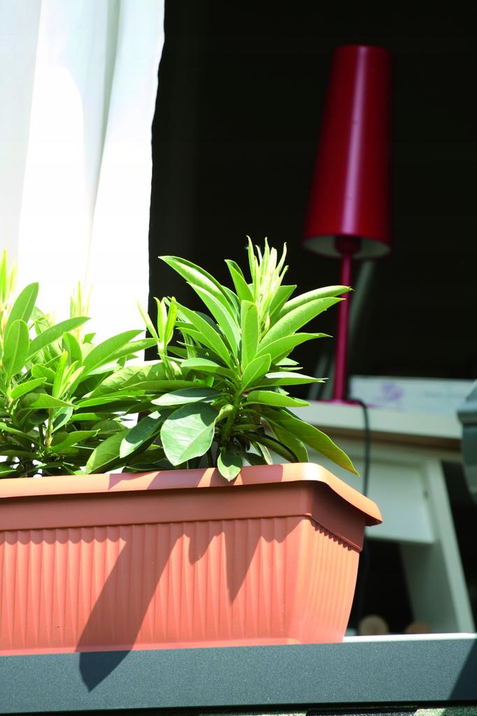 Terra DTT600 Balcony Flowerpot | Anthracite