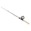 Ice Fishing Rod Reel Combo 75cm Winter Fishing Pole for Fathers Sons Husbands Boyfriends