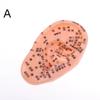 Pvc Material Ear Massage Model Reflex Area Acupoint Teaching Auricle Therapy Tool Ear Acupuncture Model Medical Supplies Health