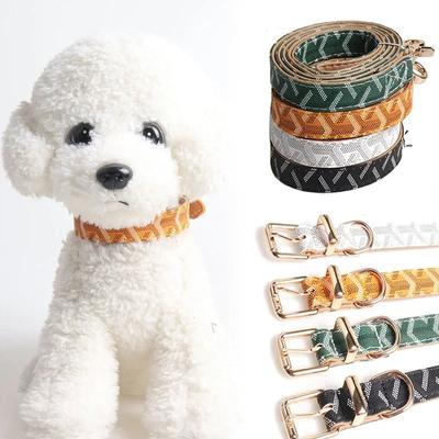 Köpek – Köpek Tasmaları ve Tasma Kayışları