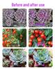 Adjustable E27 LED Plant Growth Light for Indoor Greenhouses and Seedlings