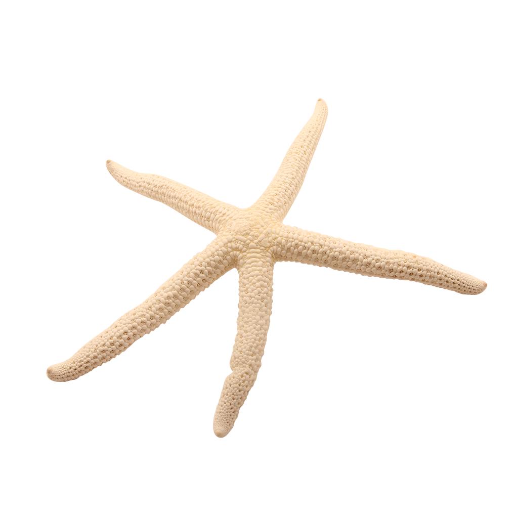 

Натуральная 5-12 см/10-12 см белая пальчиковая морская звезда легкая раковина украшение водонепроницаемая свадебная морская звезда декор 10-12cm