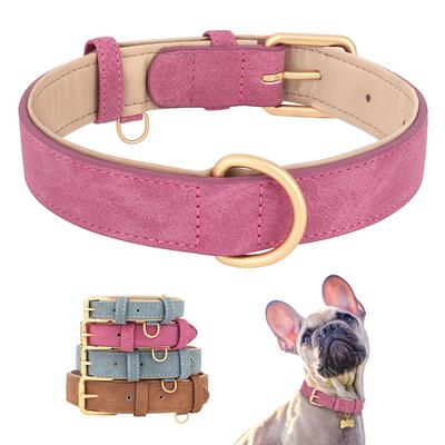 Köpek – Köpek Tasmaları ve Tasma Kayışları
