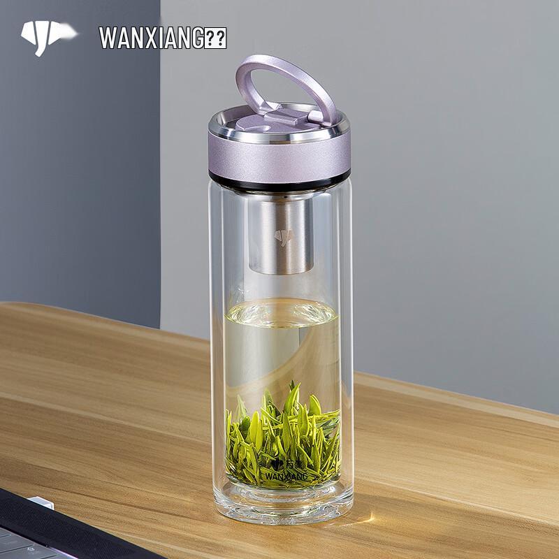 Double-Layer Glass Travel Tea Infuser Bottle