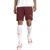 PUMA Manchester City Soccer Bottom Men's Dark Red 770478-05