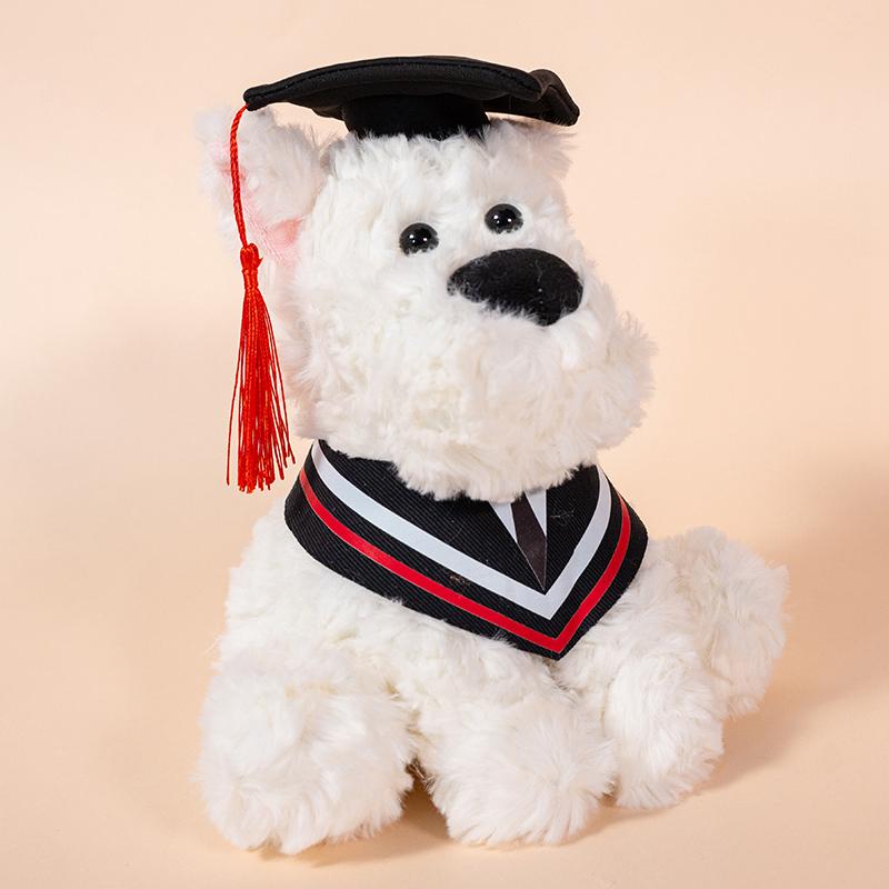 25cm Graduation Capybara Plush Doll Doctor Cap Bear Elephant Stuffed Animal Home Decor Gift For Kids