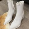 Boots Women's Autumn and Winter New Velvet Patent Leather Side Zipper Thick Heel Martin Boots Pointed High Heel Short Boots Thin Elastic Boots