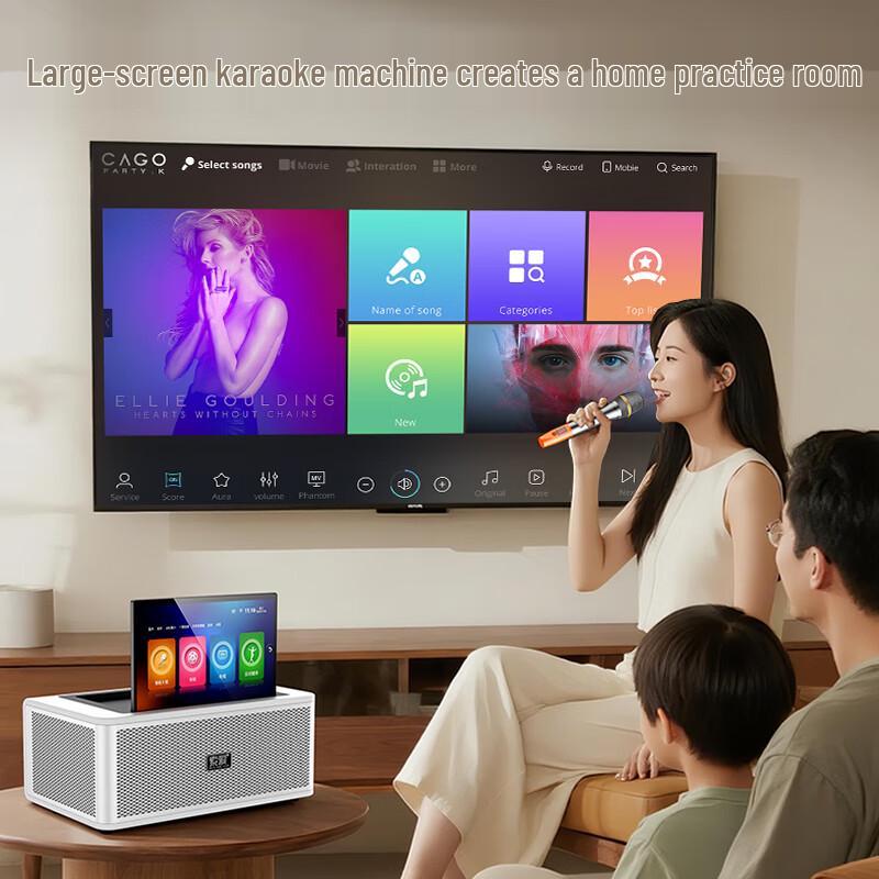 Soaiy SA-K2501 Home KTV Audio System with Microphone CN Plug (adapter Included)