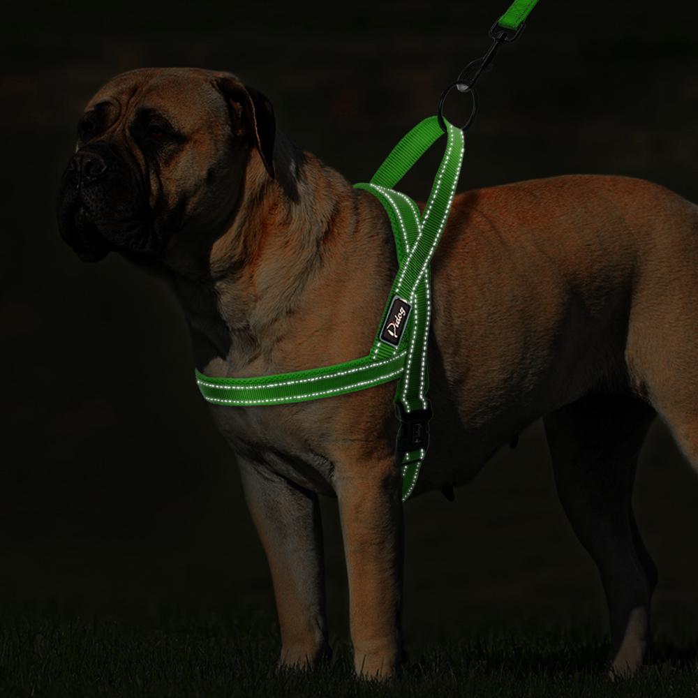 No Pull Nylon Quick Fit Hundegeschirr Weste Reflektierendes Mesh Welpengeschirr für kleine, mittelgroße und große Hunde Verstellbar XXS XS SML