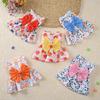 Spring Dog Princess Dress Kitten Pet Skirt Cute Dog‘s Summer Dress Bow Lace for Small Medium Puppy Poodle Chihuahua